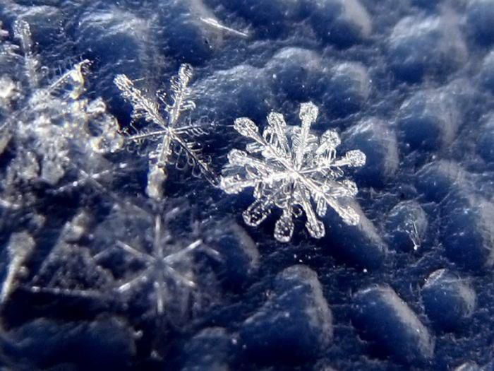 Тайная жизнь снежинки: удивительные макроснимки, фото № 50