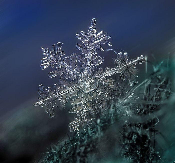 Тайная жизнь снежинки: удивительные макроснимки, фото № 31