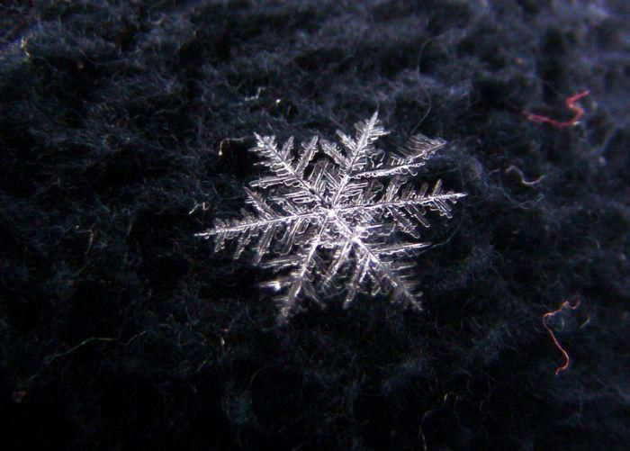 Тайная жизнь снежинки: удивительные макроснимки, фото № 43