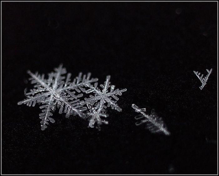 Тайная жизнь снежинки: удивительные макроснимки, фото № 48