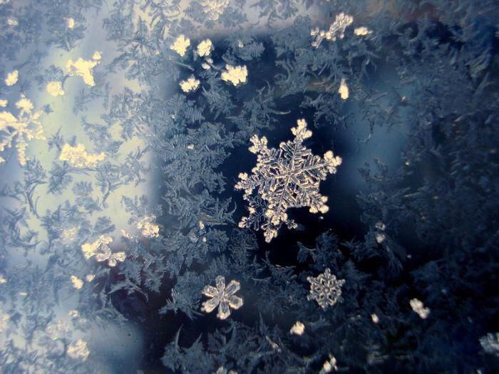 Тайная жизнь снежинки: удивительные макроснимки, фото № 33