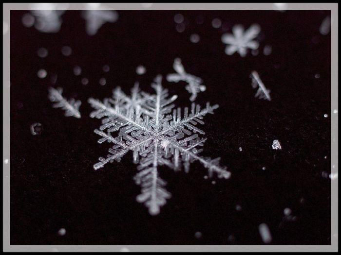 Тайная жизнь снежинки: удивительные макроснимки, фото № 49