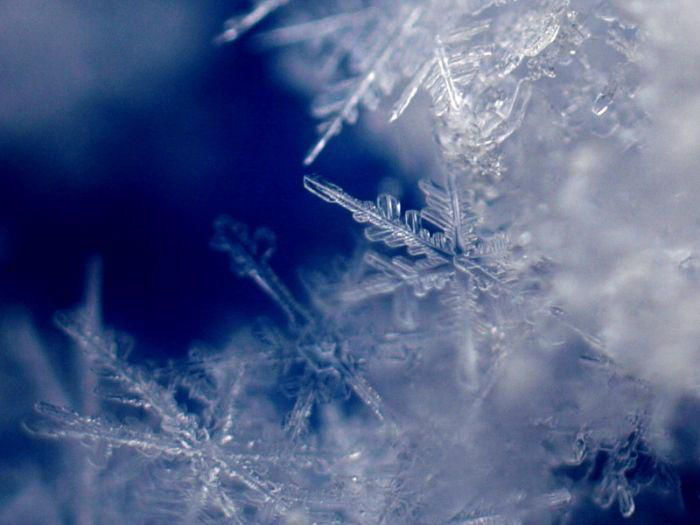 Тайная жизнь снежинки: удивительные макроснимки, фото № 44