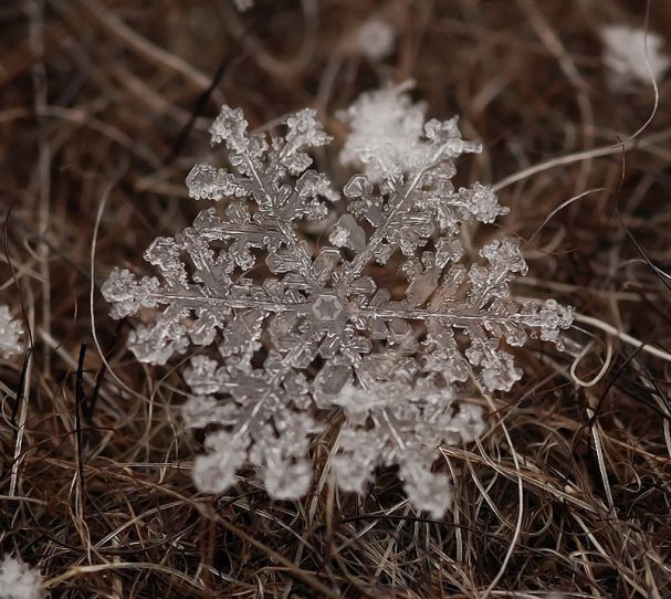 Тайная жизнь снежинки: удивительные макроснимки, фото № 19