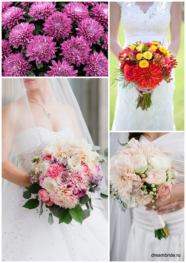 цветы для букетов фото и название: фиолетовые, розовые и красные хризантемы