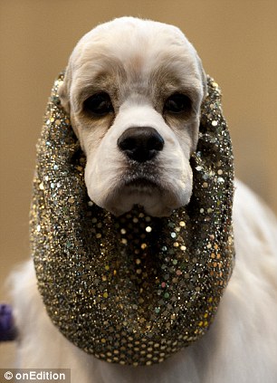 Dressed to impress: Ricky