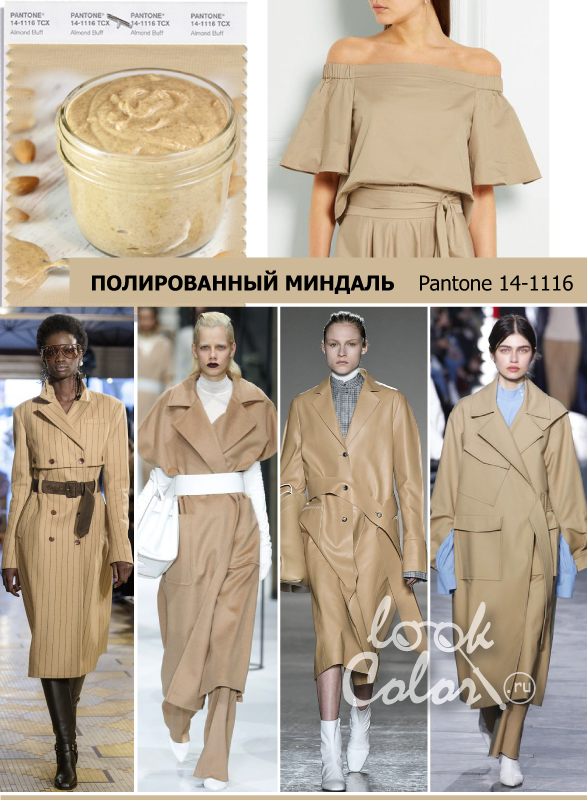 Модный цвет осень-зима 2018-2019 PANTONE 14-1116 Полированный Миндаль (Almond Buff)