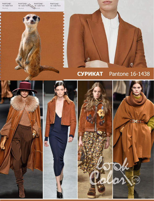 Модный цвет осень-зима 2018-2019 PANTONE 16-1438 Сурикат (Meerkat)