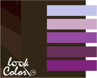 сочетание темно-коричневого с фиолетовым