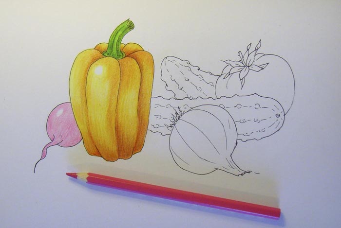 Как рисовать овощи