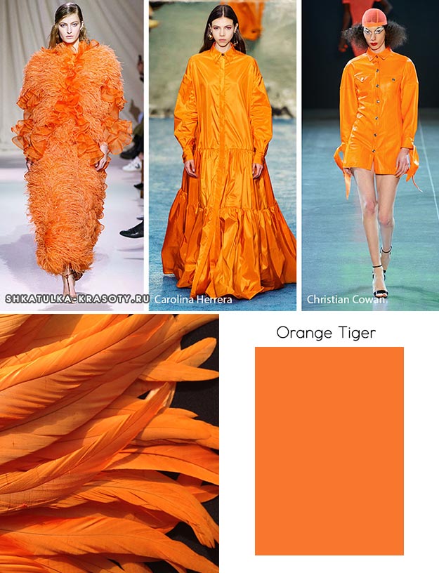 Orange Tiger (Оранжевый тигр) - модный цвет осень зима 2019 2020