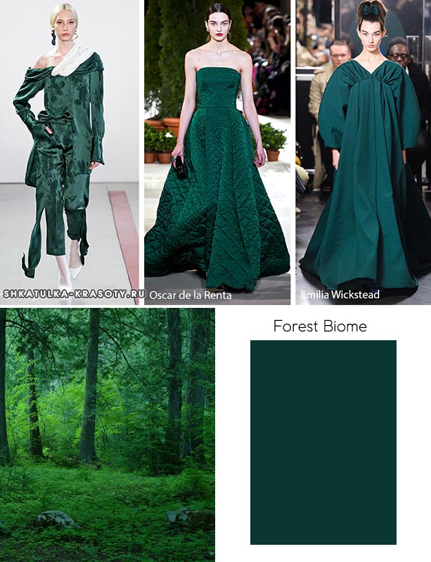 20. Forest Biome (Лесной биом)
