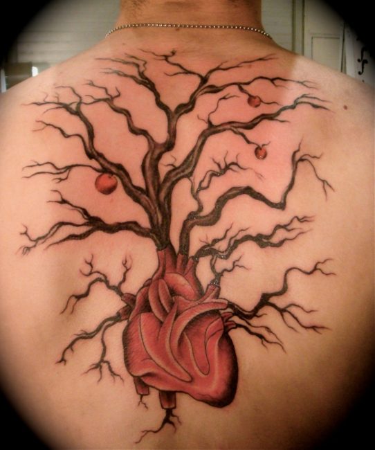 Татуировка на мужской спине: дерево-сердце