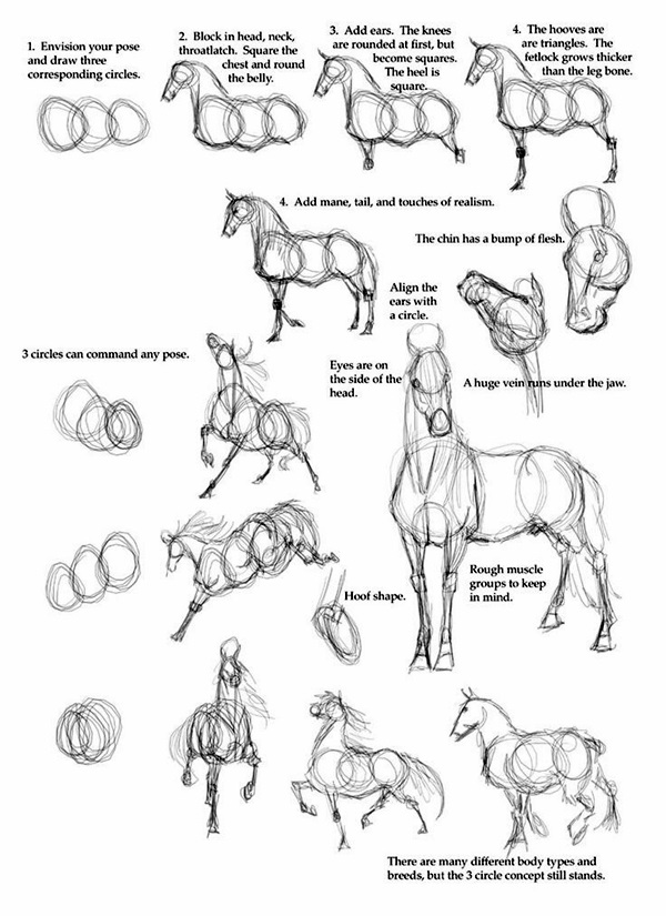 Easy Step by Step Art Drawings to Practice (12)