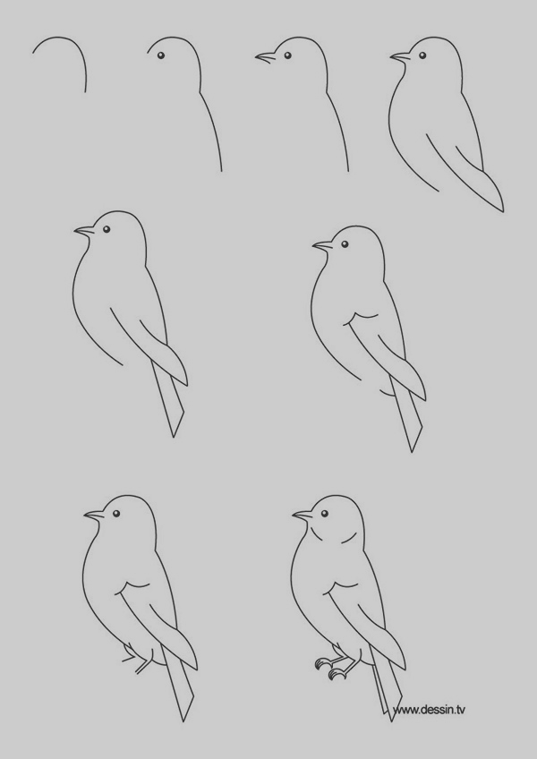 Easy Step by Step Art Drawings to Practice (6)