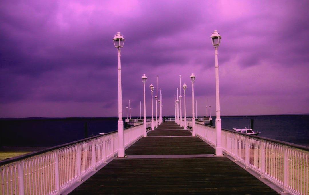 Фиолетовый цвет, красивые фото