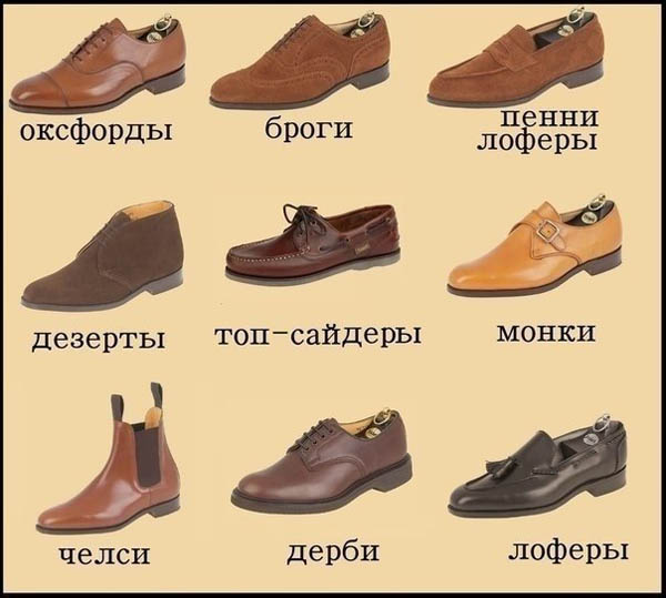 разновидности мужских туфель фото
